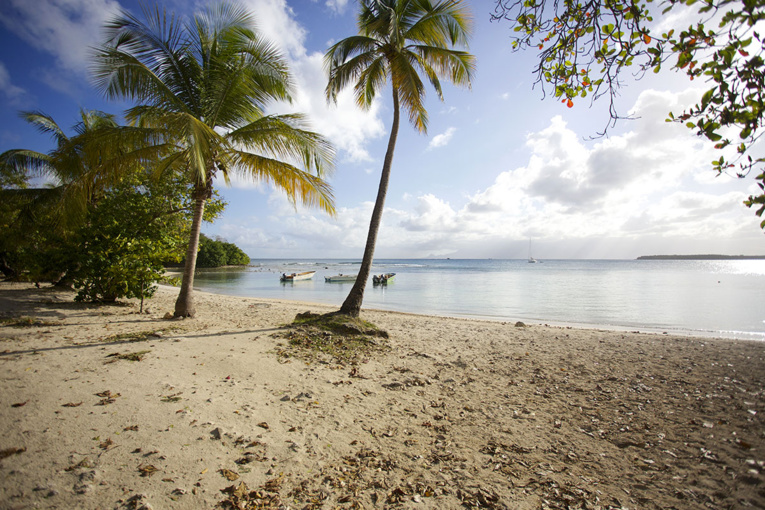 La Guadeloupe en alerte maximale
